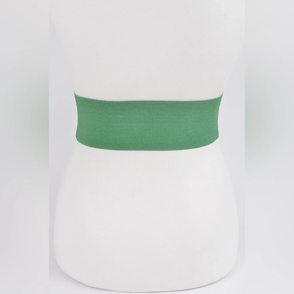Satin Metallic Elastic Waist Statement Belt